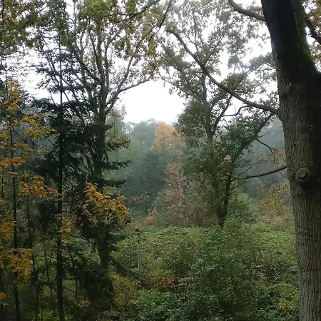 6 Person In Hadsund-by Traum *