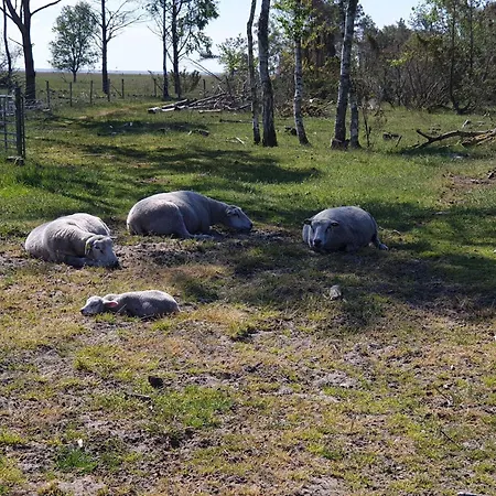 6 Person In Hadsund-by Traum Casa vacanze Øster Hurup