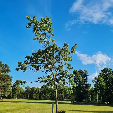 5 Star In Hadsund Øster Hurup
